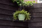 vibia campana hanging basket 26cm pistache green